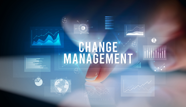 Image for Healthcare Change Management: Strategies for Success